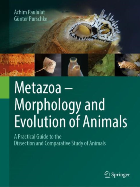 Metazoa Morphology & Evolution Of Animal