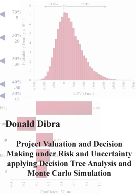 Project Valuation And Decision Making Un
