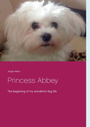 Princess Abbey:the Beginning Of My Wonde