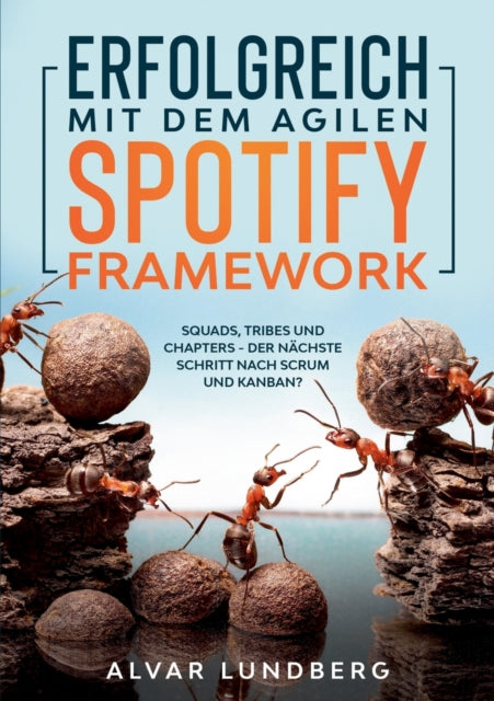 Erfolgreich Mit Dem Agilen Spotify Frame