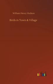 Birds In Town   Village