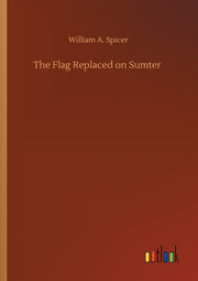 The Flag Replaced On Sumter