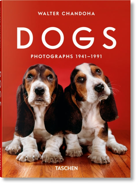 Walter Chandoha Dogs Photographs 1941199
