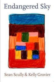 Endangered Sky Sean Scully Kelly Gro