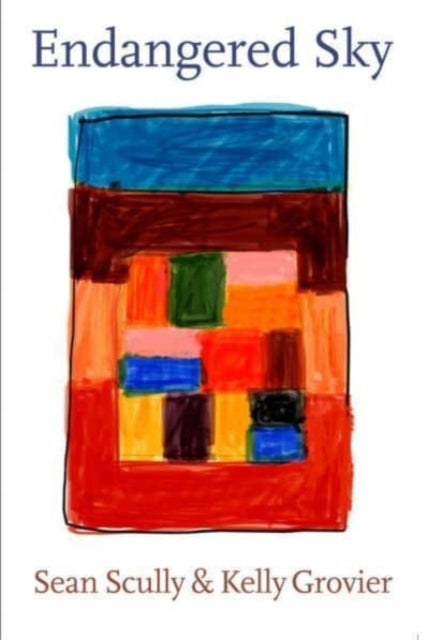 Endangered Sky Sean Scully Kelly Gro