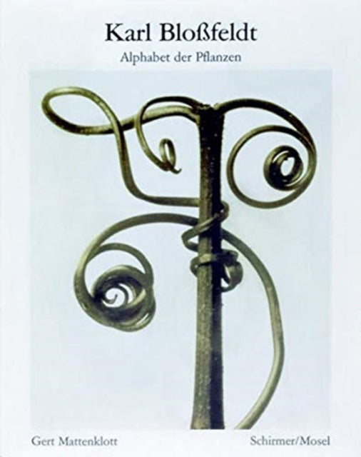 Alphabet Of Plants