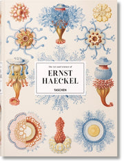 Ernst Haeckel