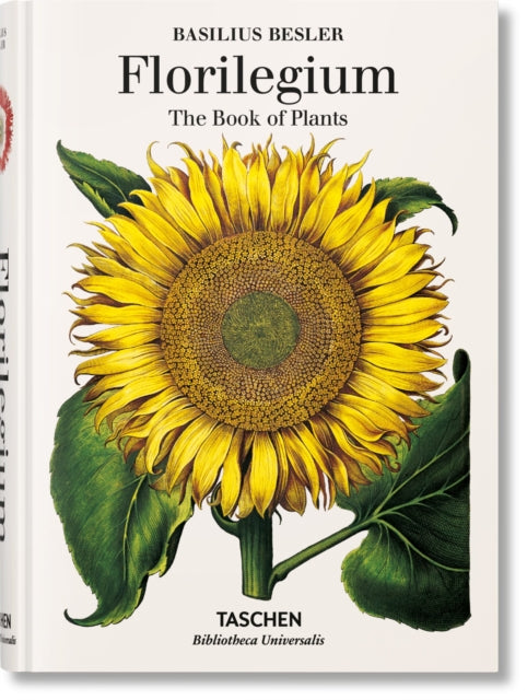 Florilegium The Book Of Plants By Besler, Basilius