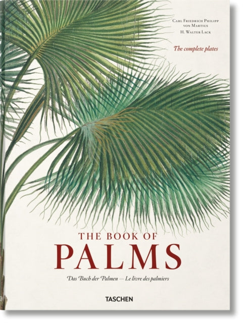 Martius The Book Of Palms