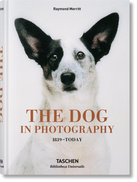 Dog In Photography 1839-today