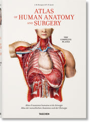 Bourgery Atlas Of Human Anatomy Surgery By Le Minor, J-m