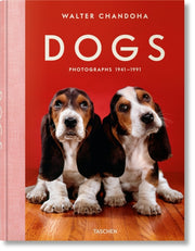 Chandoha Dogs