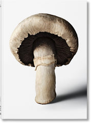 Gourmands Mushroom A Collection Of Stori By The Gourmand Team