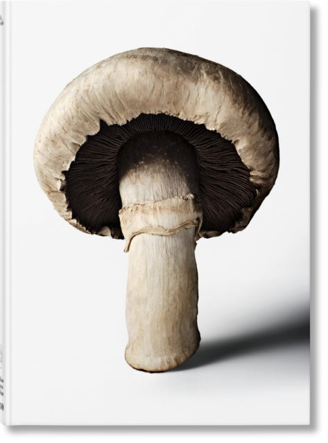 Gourmands Mushroom A Collection Of Stori By The Gourmand Team