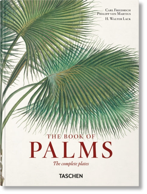 Book Of Palms