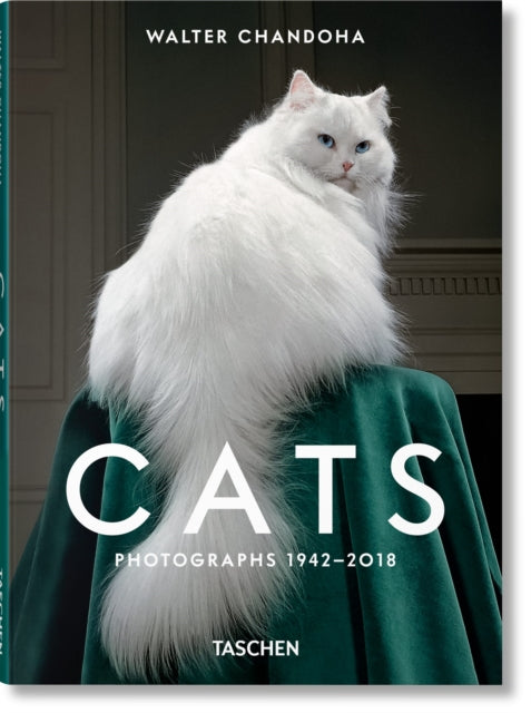 Walter Chandoha Cats Photographs 1942201