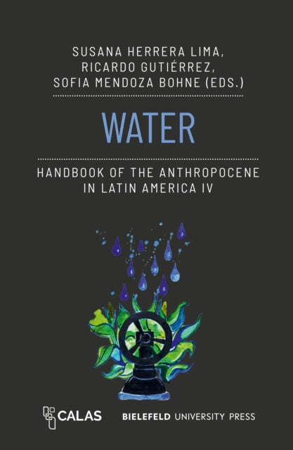 Water Handbook Of The Anthropocene In La By Herrera Lima, Susana