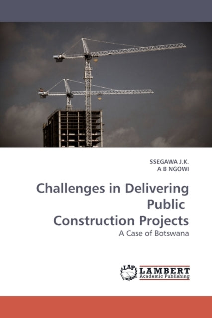 Challenges In Delivering Public Construc