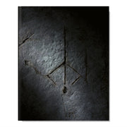 Bloodborne Complete Guide 25th Anniversn