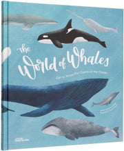 World Of Whales By Dobell, Darcy (writt
