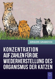 Konzentration Auf Zahlen Fur Die Wiederh By Grabovoi, Grigori