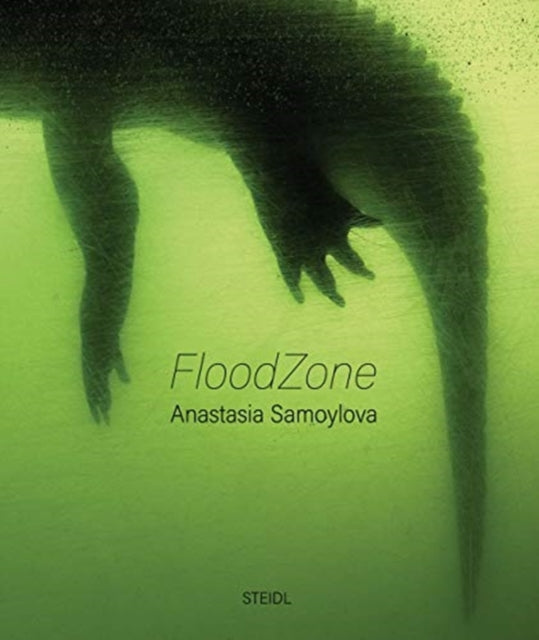 Floodzone
