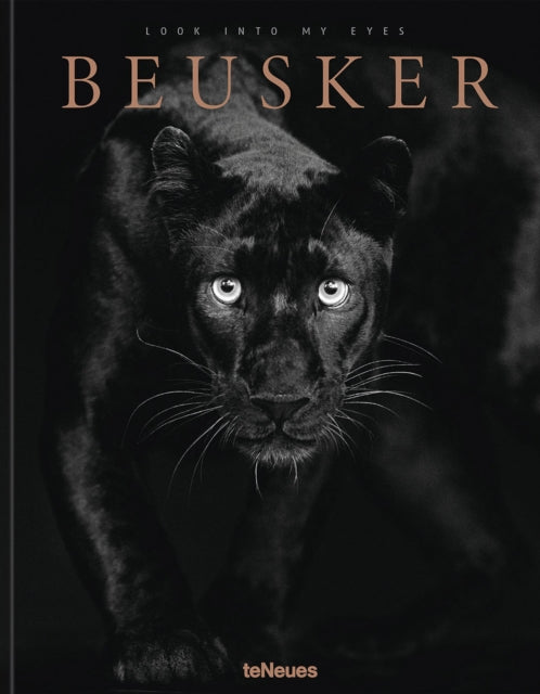 Beusker Look Into My Eyes