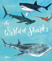 World Of Sharks