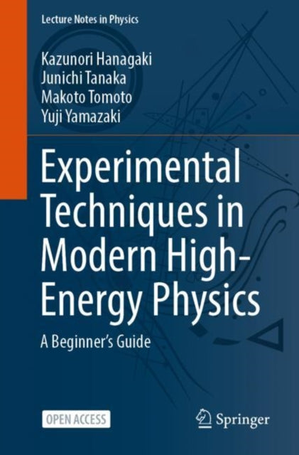 Experimental Techniques In Modern High E