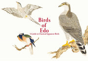 Birds Of Edo
