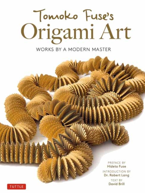 Tomoko Fuses Origami Art