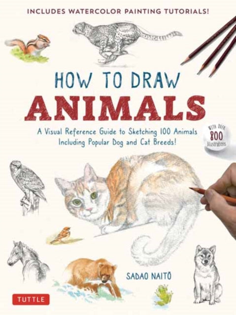 How To Draw Animals