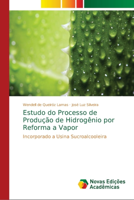 Estudo Do Processo De Produ  O De Hidrog