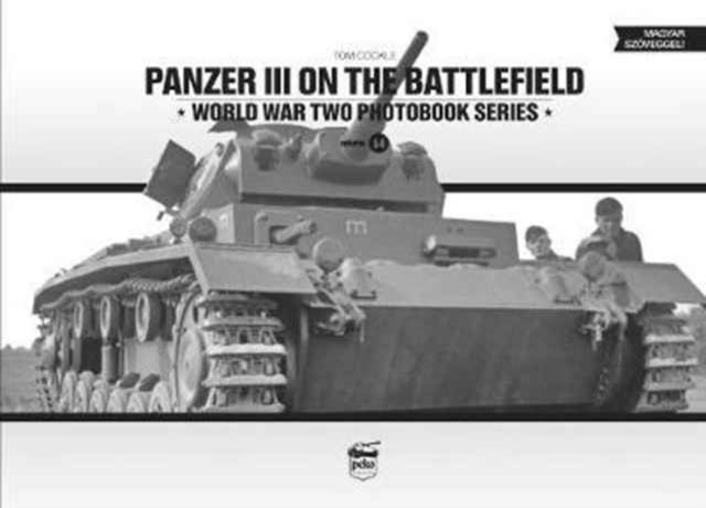Panzer Iii On The Battlefield