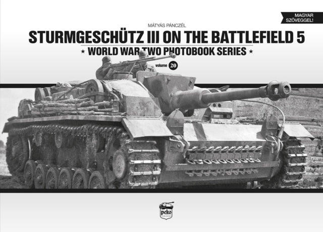 Sturmgeschtz Iii On The Battlefield 5