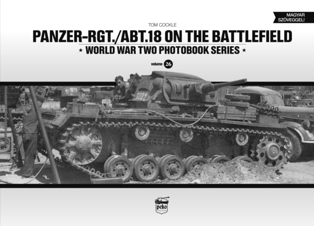 Panzer Rgt Abt18 On The Battlefield