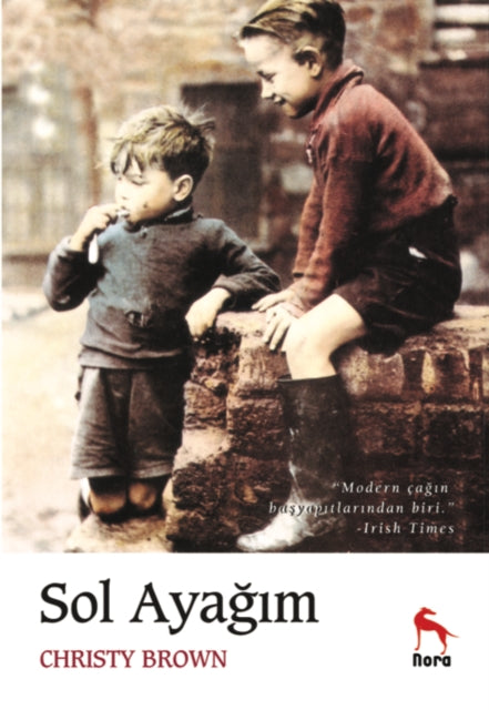 Sol Ayagm By Brown, Christy