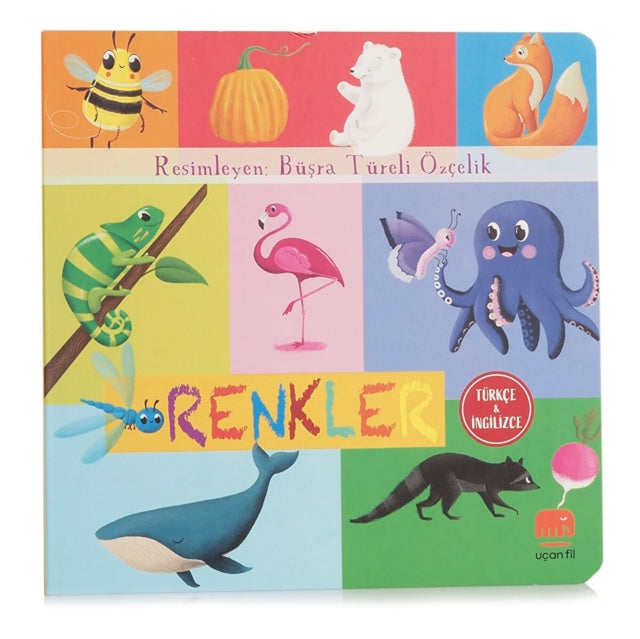 Turkce Ve Ngilizce Renkler By Fil, Ucan