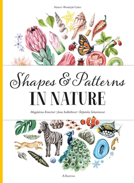 Shapes & Patterns In Nature