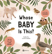 Whose Baby Is It