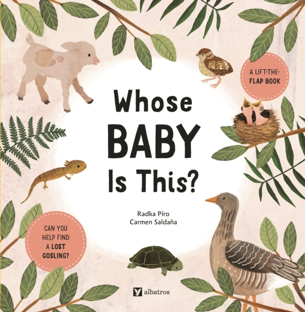 Whose Baby Is It
