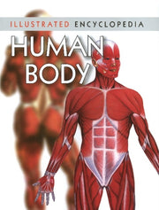 Human Body By Unknown