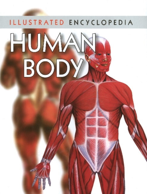 Human Body By Unknown