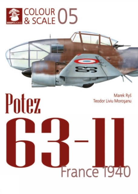 Colour Scale 05 Potez France 1940