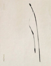 Txema Yeste Needles