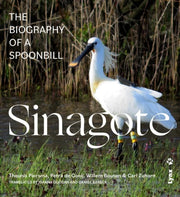 Sinagote The Biography Of A Spoonbill
