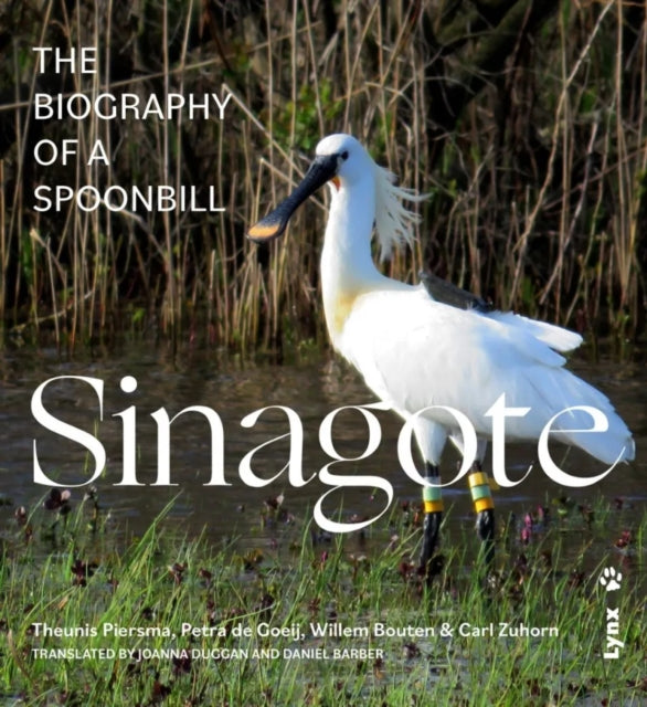 Sinagote The Biography Of A Spoonbill