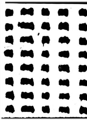 Jordi Colomer By Various