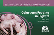 Colostrum Feeding In Piglets Essential G