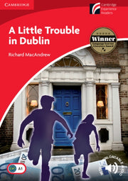 Little Trouble In Dublin